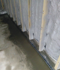 Leak Detection and Waterproofing