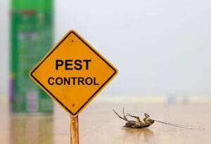 eliminate pests
